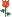 獲贈(zèng)鮮花