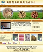 天罡花生種植專業(yè)合作社