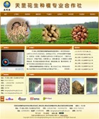 代做網(wǎng)站73777號(hào)