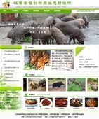 代做網(wǎng)站75008號(hào)