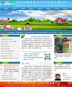 代做網(wǎng)站74847號(hào)